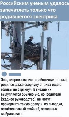 Прикрепленное изображение: 7 (1).jpg